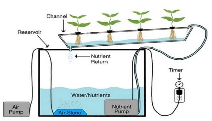 Los Diferentes Sistemas De Cultivo Hidropnico Y Sus